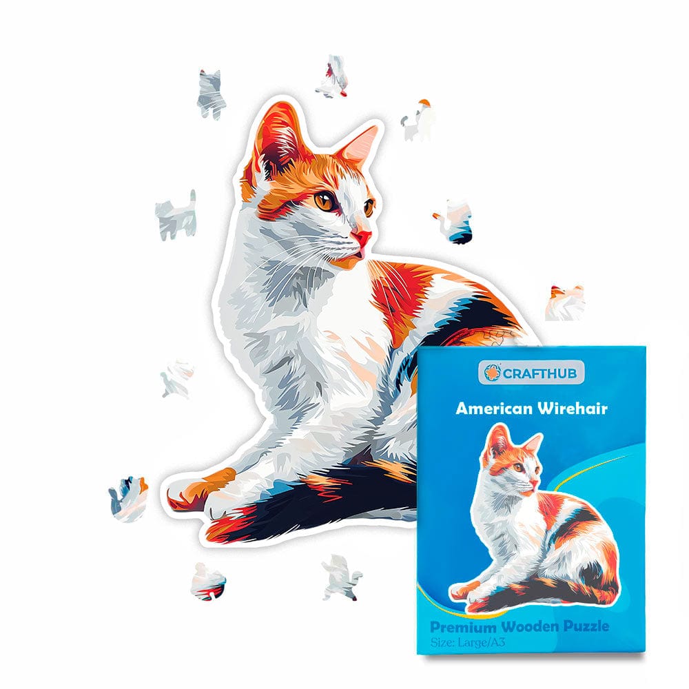 American Wirehair Cat - Jigsaw Puzzle