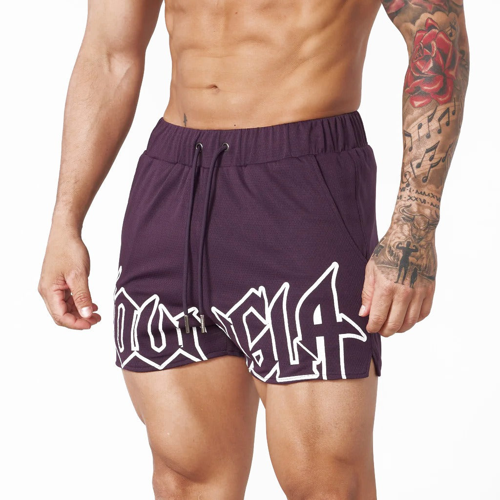 YOUNG LA Summer New Sports and Fitness Shorts Mesh Quick drying Breathable Basketball Training Shorts Casual Beach Shorts