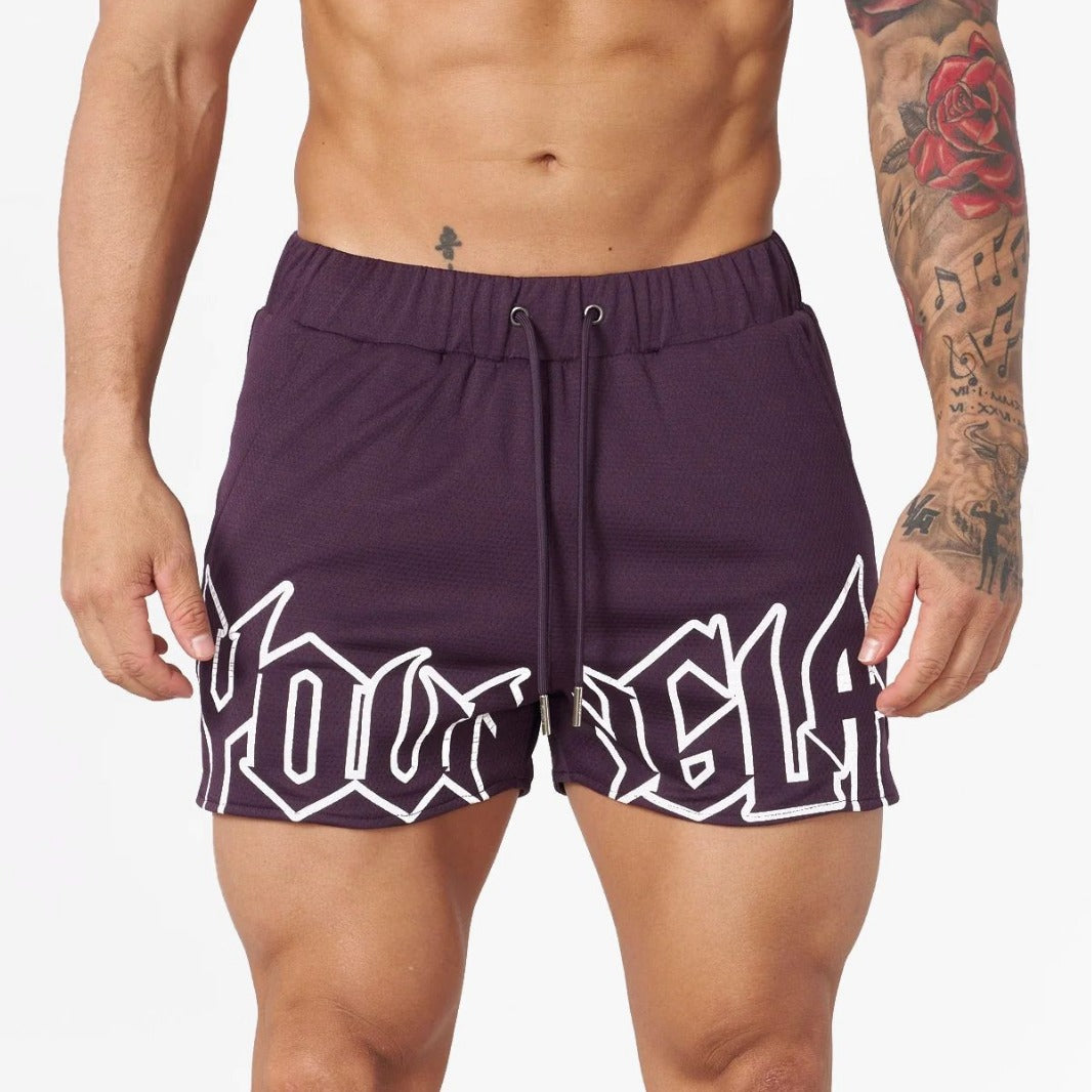 YOUNG LA Summer New Sports and Fitness Shorts Mesh Quick drying Breathable Basketball Training Shorts Casual Beach Shorts